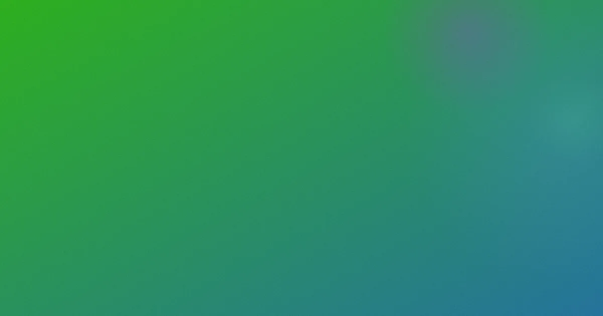 bangbus测评避坑流程